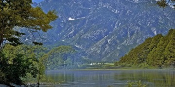 城南家园物业区域有疫情吗？