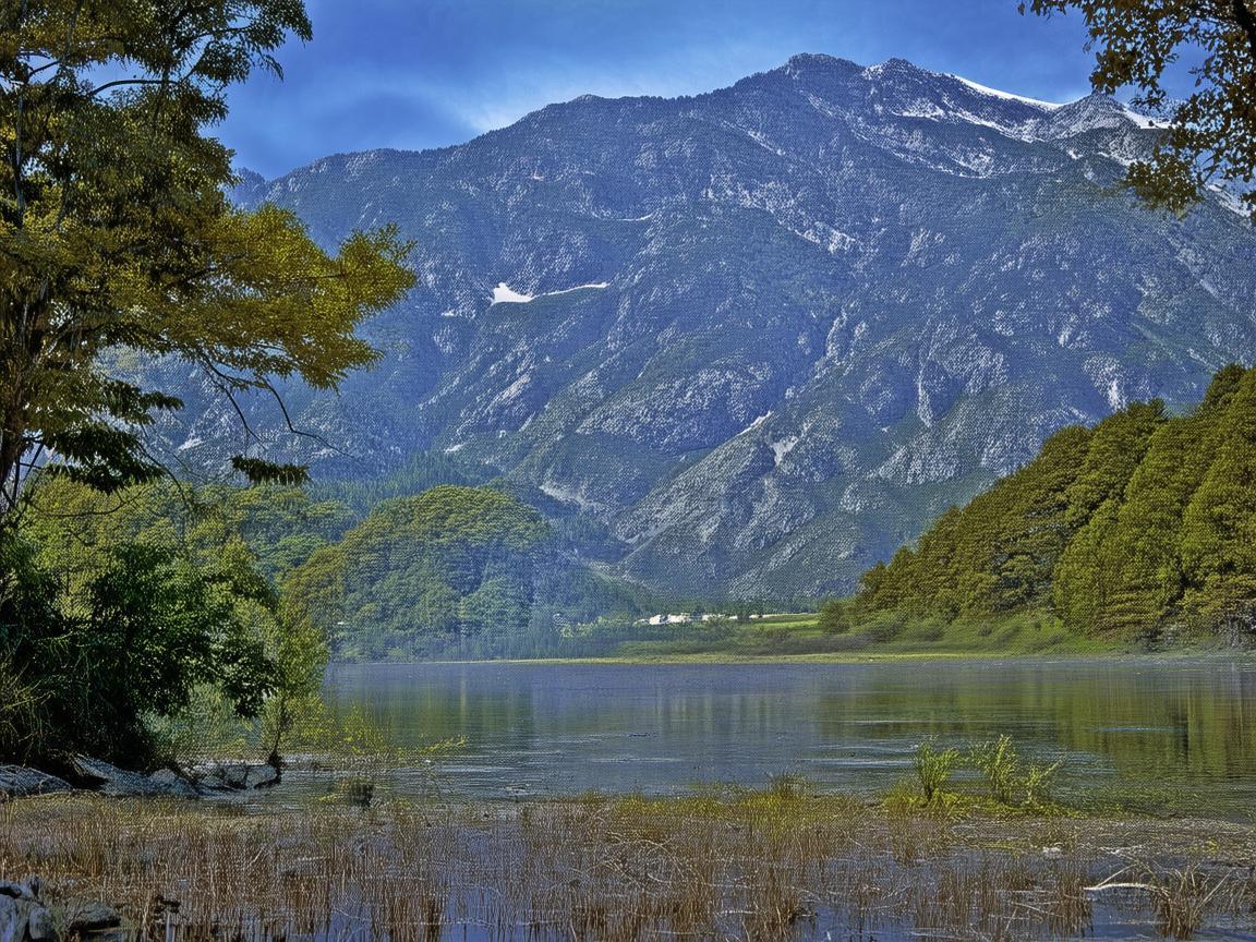 城南家园物业区域有疫情吗? 城南家园物业区域有疫情吗?